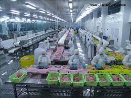 食品加工廠新工廠規劃的要點有哪些？